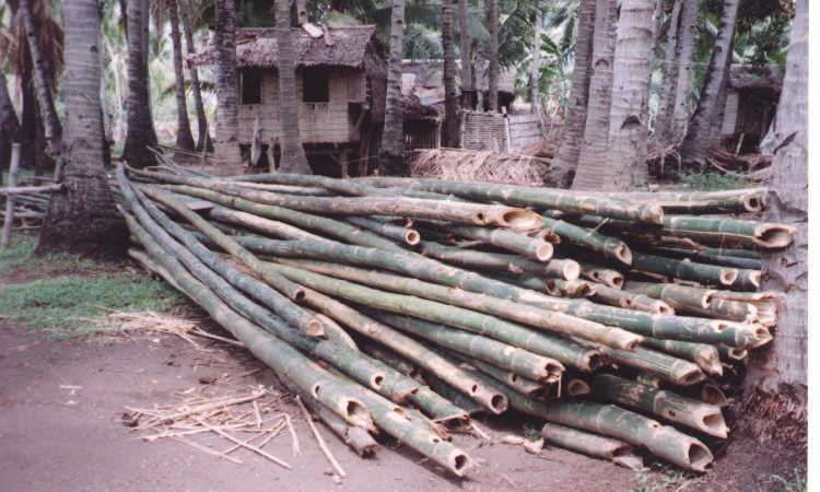 bambooforhouseconstruction.jpg