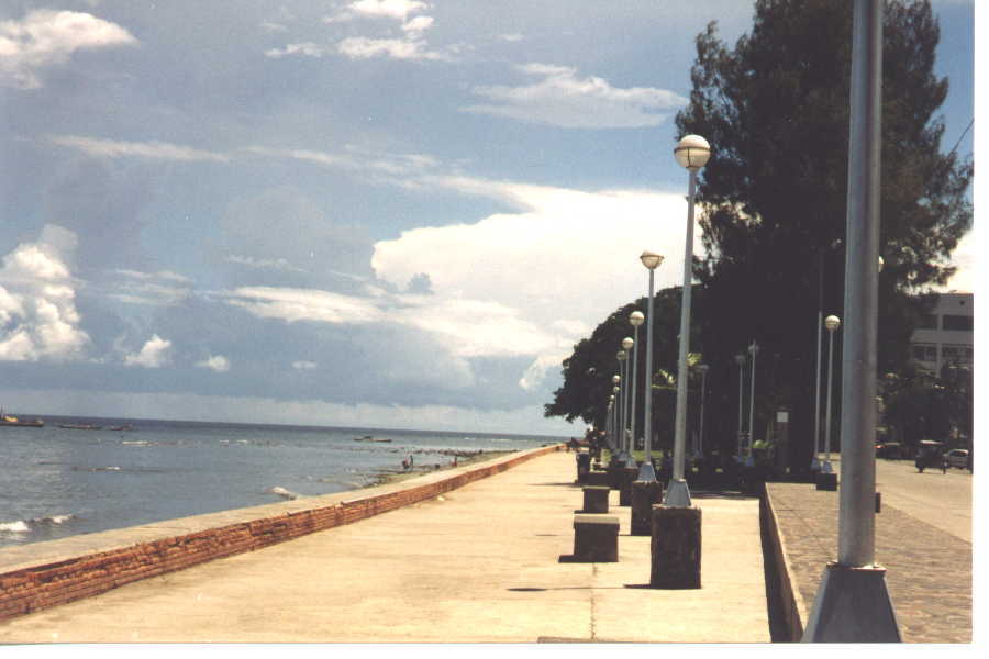 dumagueteseawalk.jpg